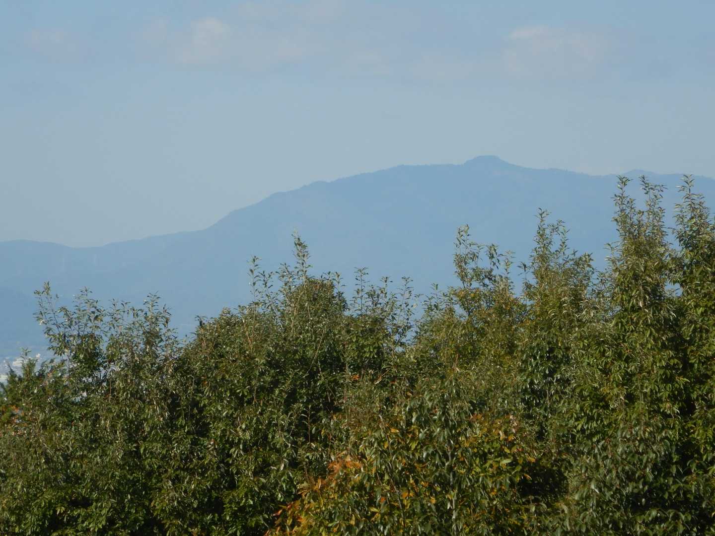 北西に愛宕山