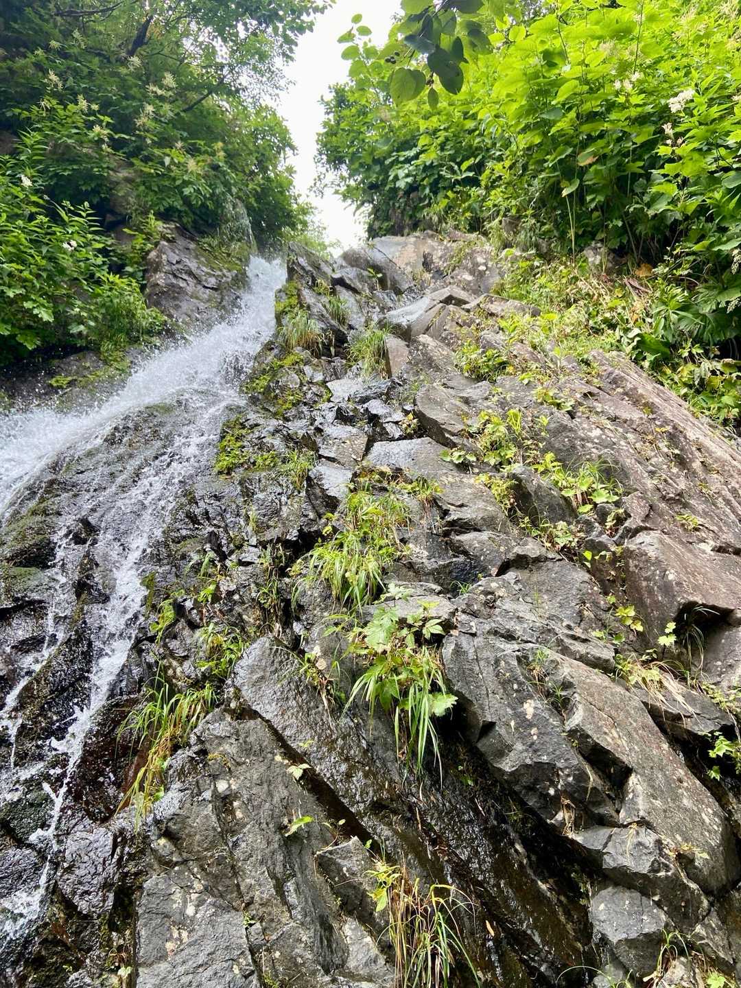 漁川口-林道沢出合-漁岳 往復コースの写真