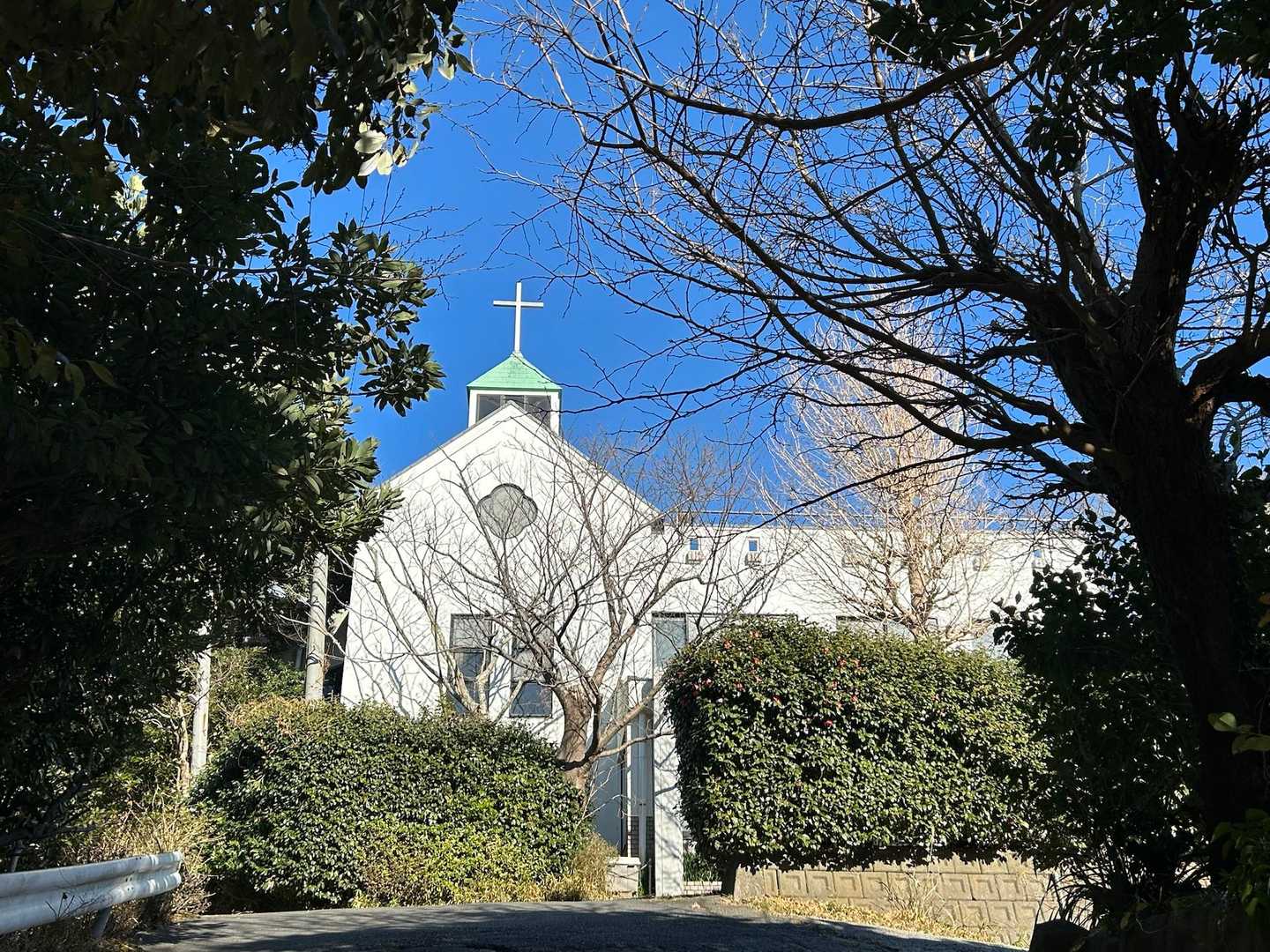 葉山教会⛪️すてきですね。椿の垣根です🌺
充実の三浦アルプスでした！
電車でくるのもアクセスはよいので、この山域もまた探検します✌️