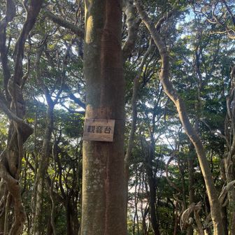 この先少し道間違い