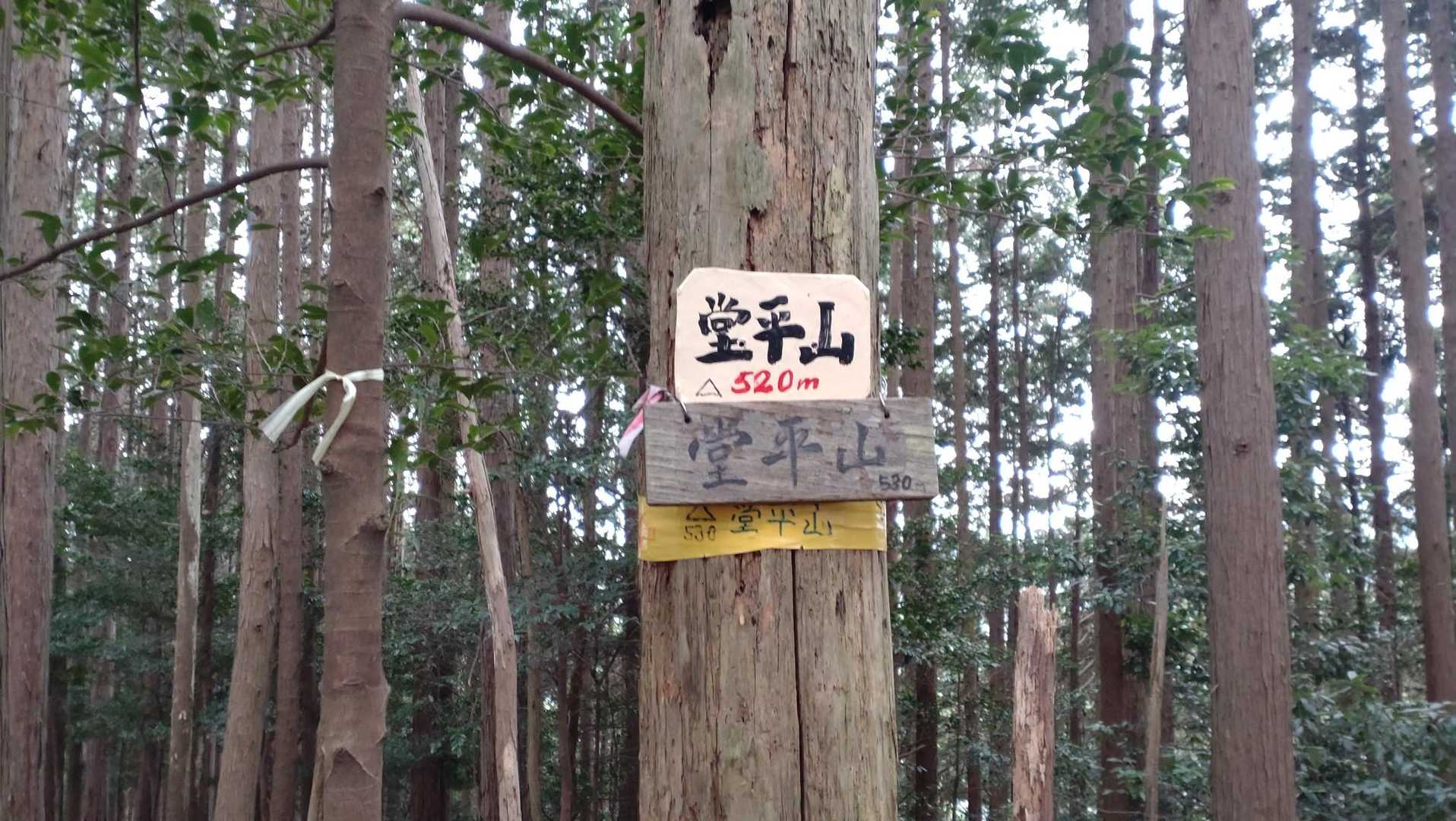 堂平山
ここでお二人すれ違いました。