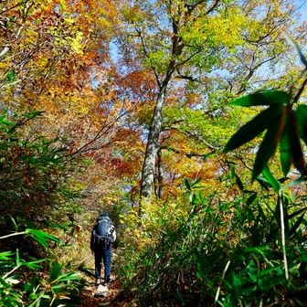 ゆるーり紅葉を楽しむ🍁を実現できた、ぎずもにゃんはご機嫌(●＾▽＾●)
山はゆるくなかったが…