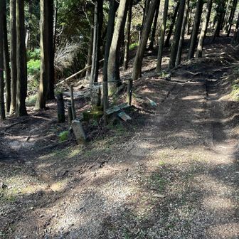 神明峠道分岐