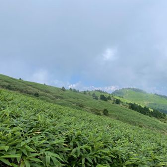 稜線まで見えてきた！綺麗な稜線😍
頂上に戻るか？このまま下りるか？
葛藤、、、いやこの後が全て遅れてしまうため、下山続行