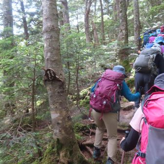 あとすこし！登山者でなく小屋の看板だろうから間違いないでしょう🤭