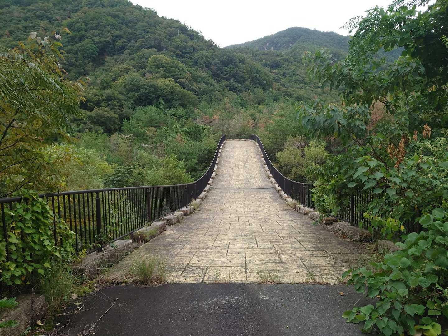 ロード歩きから、閉鎖された門の横から通り抜けて、登山口へ向かいます🙋