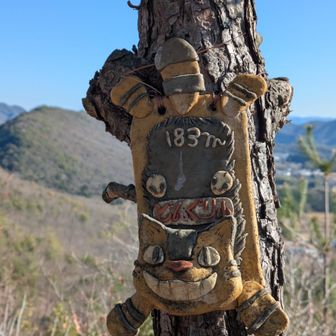 今日の６座目、どんぐり山⛰️
ネコバス、めちゃ可愛い🥰
