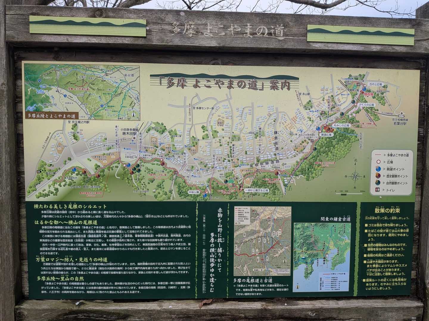 🌿多摩よこやまの道🌿