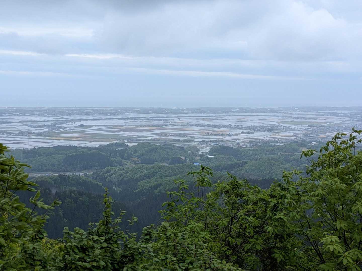 展望台
下山は願文山経由で帰ります。
こんな天気だったけど、まったりしながらお喋りして楽しかったです。
ありがとうございました〜