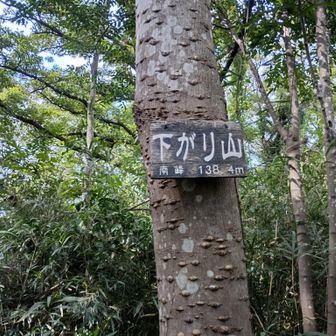 下がり山南峰