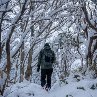 この辺りは誰も入ってない。