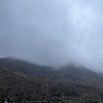 山の上の方の天気ヤバ目。
途中けっこうすれ違った方がいて、雪道と雨で大変だろうなーと心配。