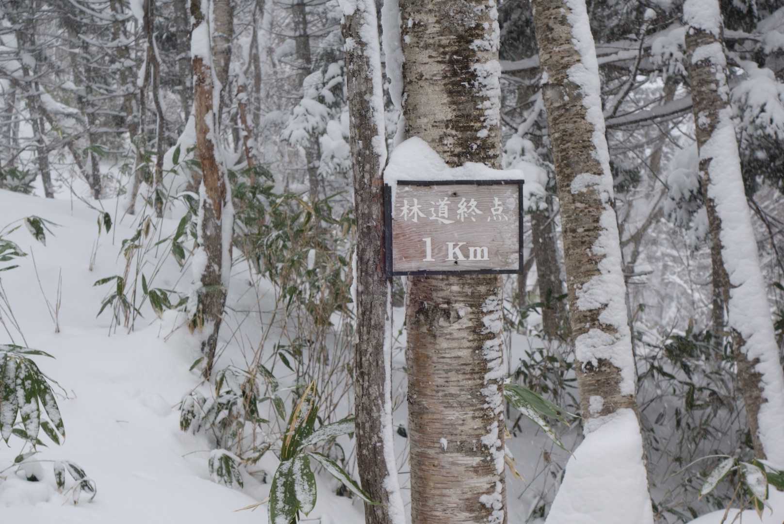 漁川口-林道沢出合-漁岳 往復コースの写真