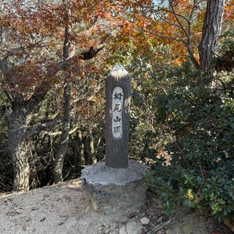 ここを目指してました！次の日ふくらはぎ筋肉痛！効いてるねぇ〜〜