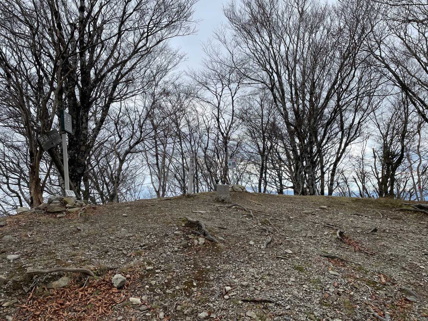 やっとなだけに、めっちゃ嬉しい〜❣️