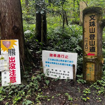 さていつもの場所に降りてきました。おつかれ山でした⛰️