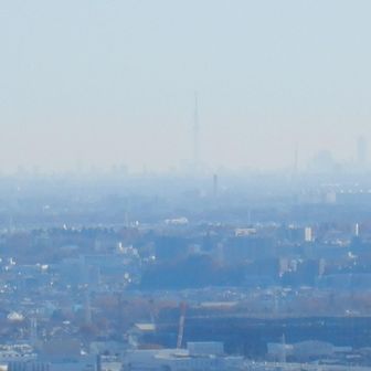 スカイツリーはぼんやり