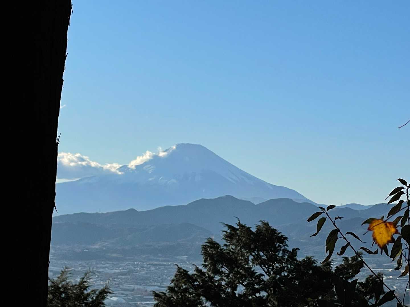 聖峰 登山口-聖峰-高取山-念仏山-善波山-吾妻山-弘法山 縦走コースの写真