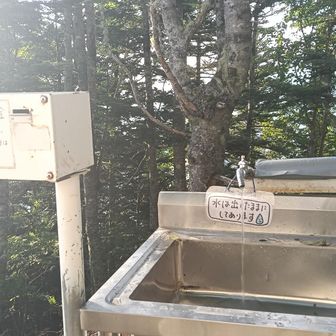 お水有難い