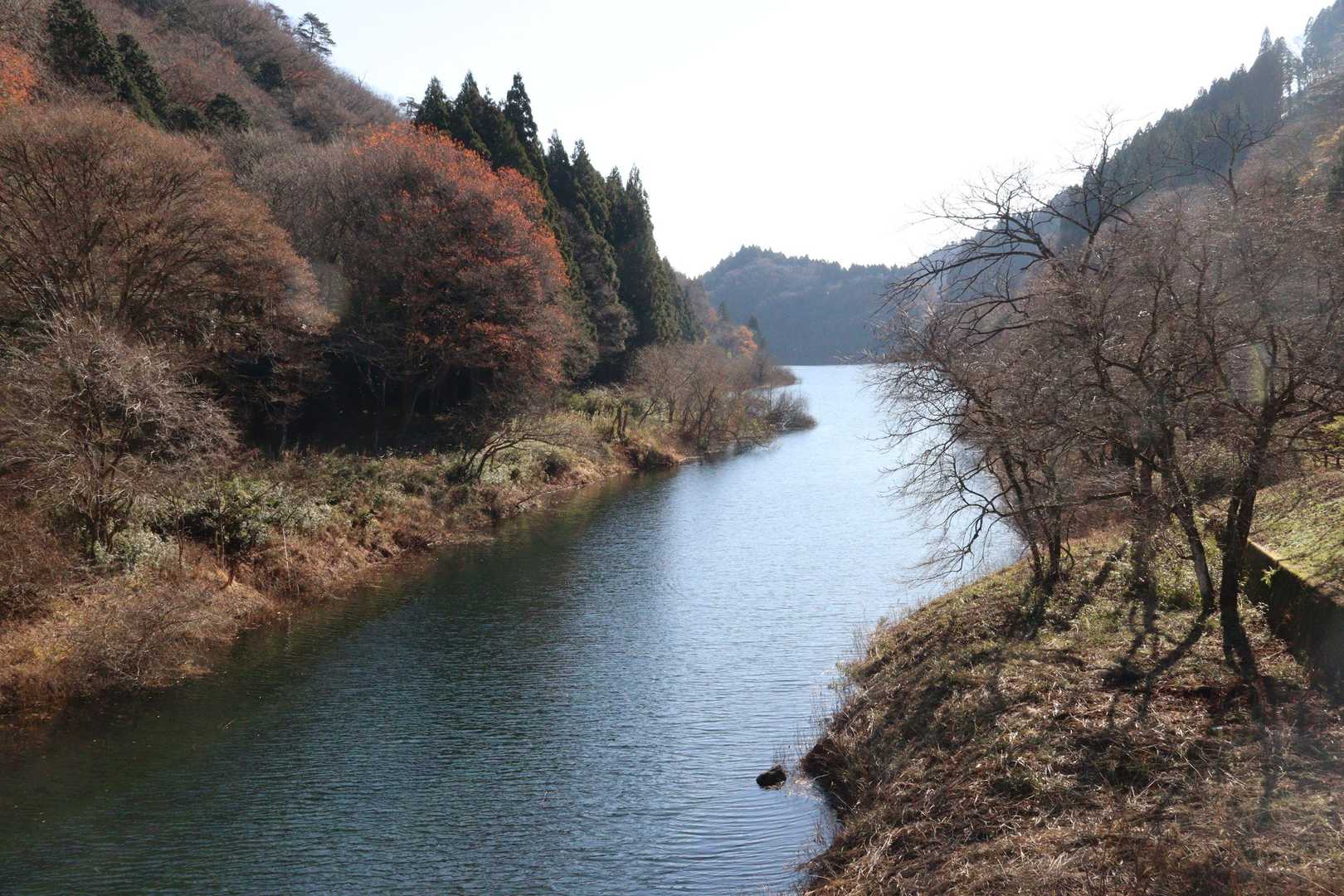 綺麗な水が貯まっています。