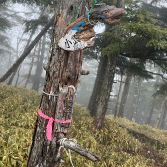 可愛い看板が💦
