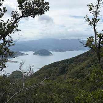 海が見えました