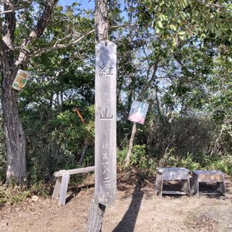 8座目紅山山頂です。