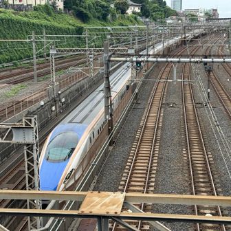 新幹線
右の写真には見えない箇所に京成電鉄のスカイライナーも通るので、カッコいい車両がたくさん見られるね