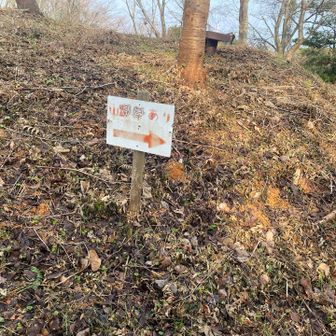 え？なんかあったっけ？笑