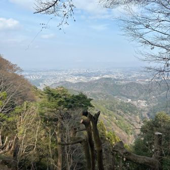 下山は1号路から金比羅台コースで高尾駅に向けて下りました。