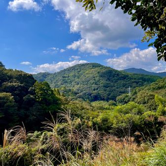 秋の山だなぁ、今日は気温高いけど💦