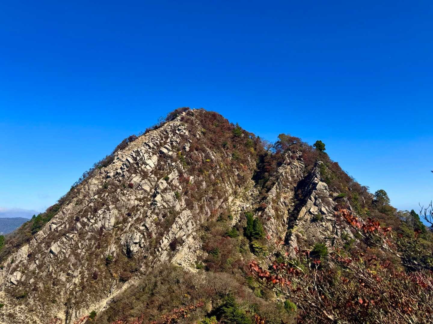 鎌ヶ岳-水沢岳-水沢峠-入道ヶ岳 周回コースの写真