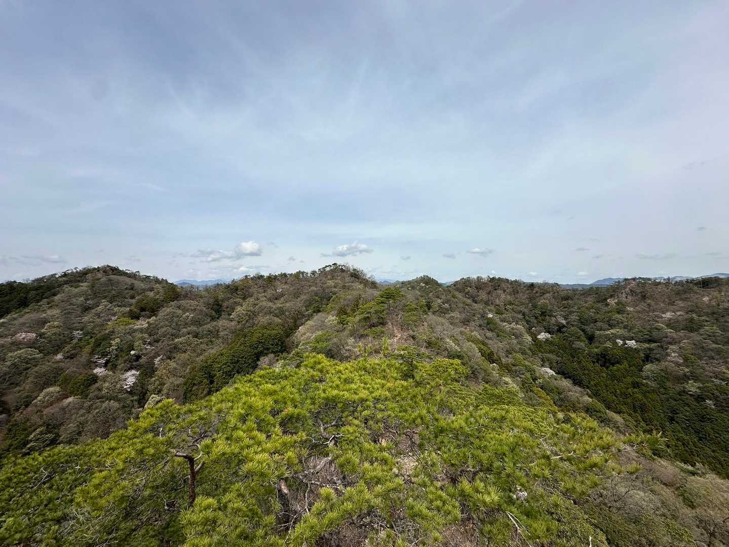 出尾根コース登山口-三床山 周回コースの写真