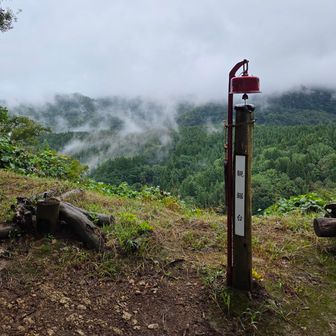 観鋸台、鋸山は真っ白！