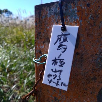 鷹ノ栖山とある場所