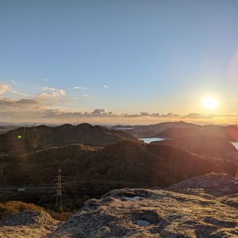 ヨダ@ピクミンブルーム