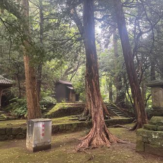 いい雰囲気。

奥の階段、降る時に一歩目でスリップ。
一気に一番下まで送ってくれました……。

薬師堂で助かった。
