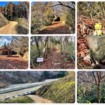 🤩Peak-Hunt !
(先陣の皆さんありがとうごいます🙂‍↕️)