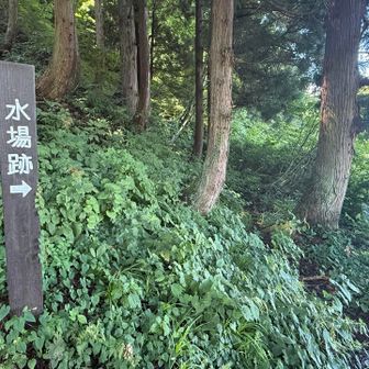今は枯れている水場跡😅