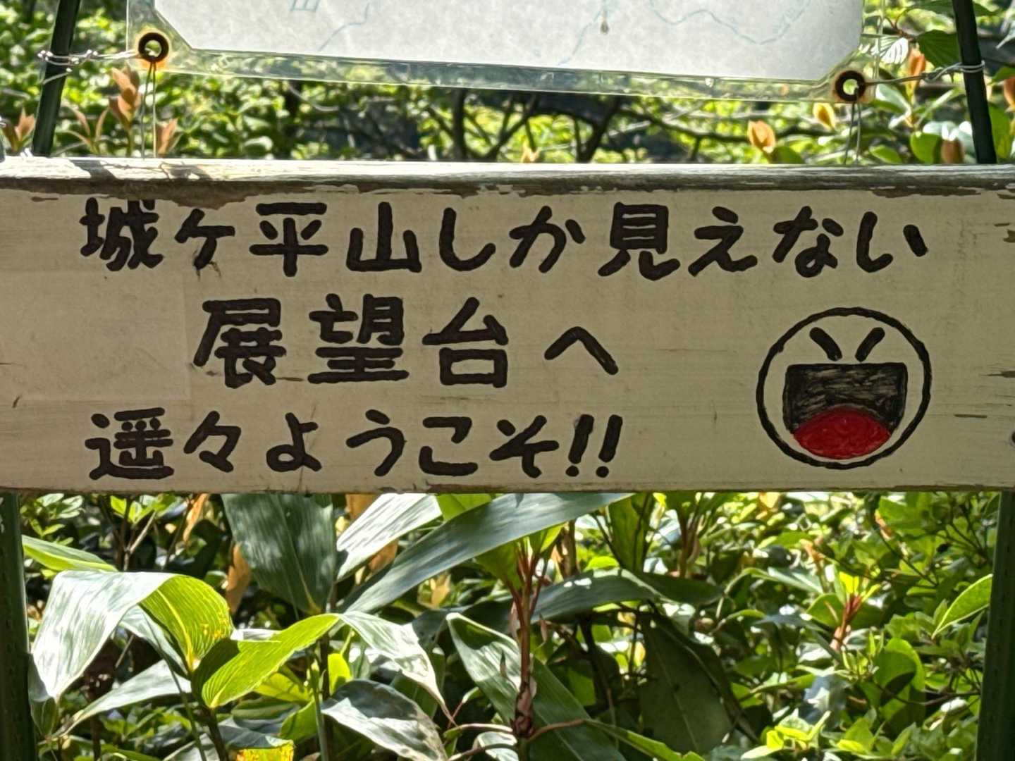 ほんとここしか見えない🤣