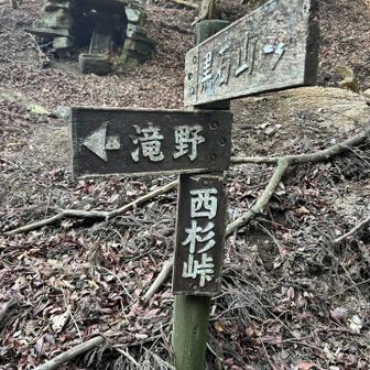 西杉峠到着　やっと峠まで来た〜。
ここまでのアップダウンがなかなかでした💦