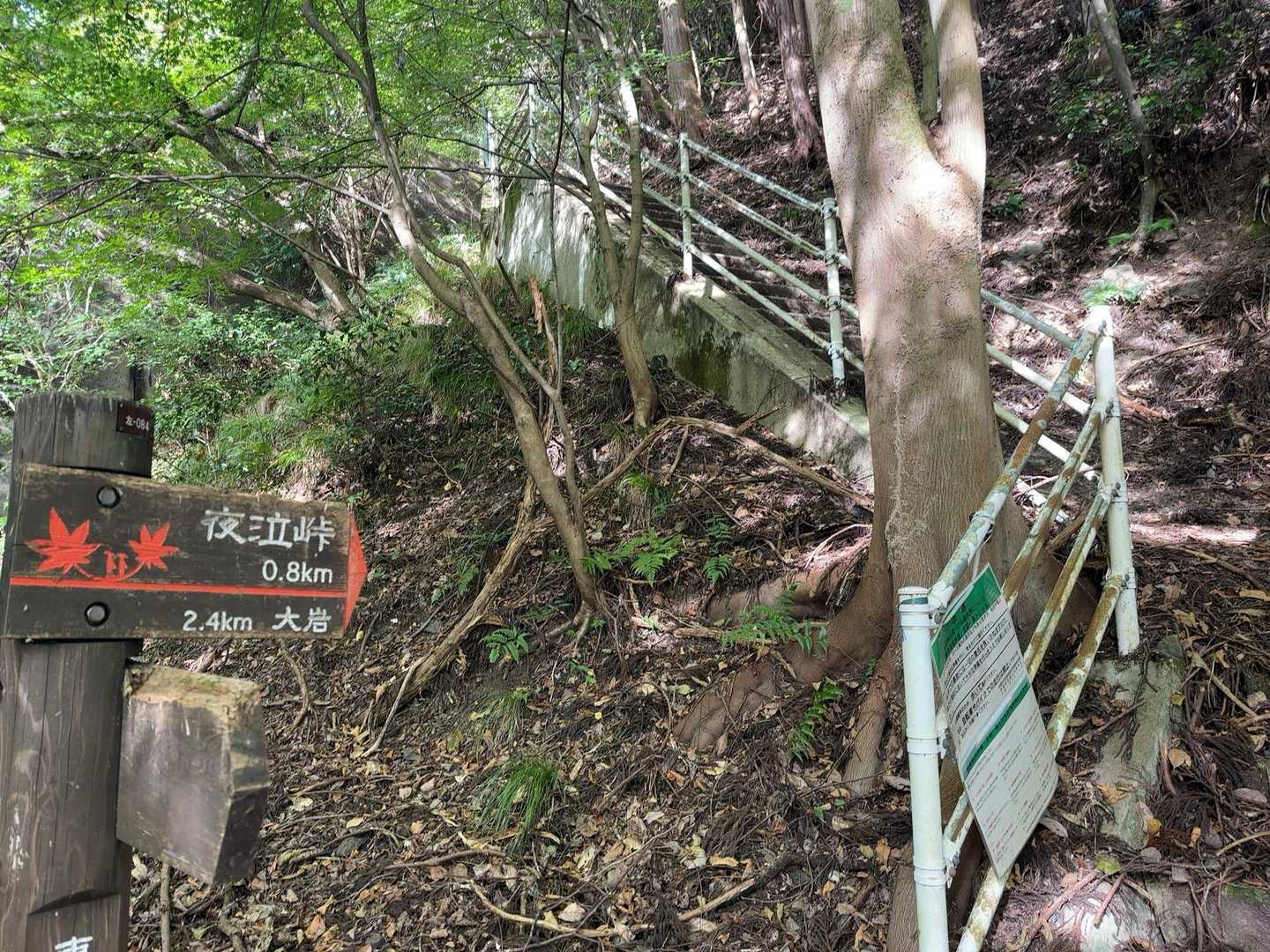 スタート早々、急登