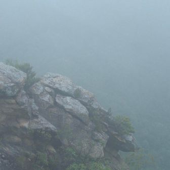 山頂は霧に覆われています