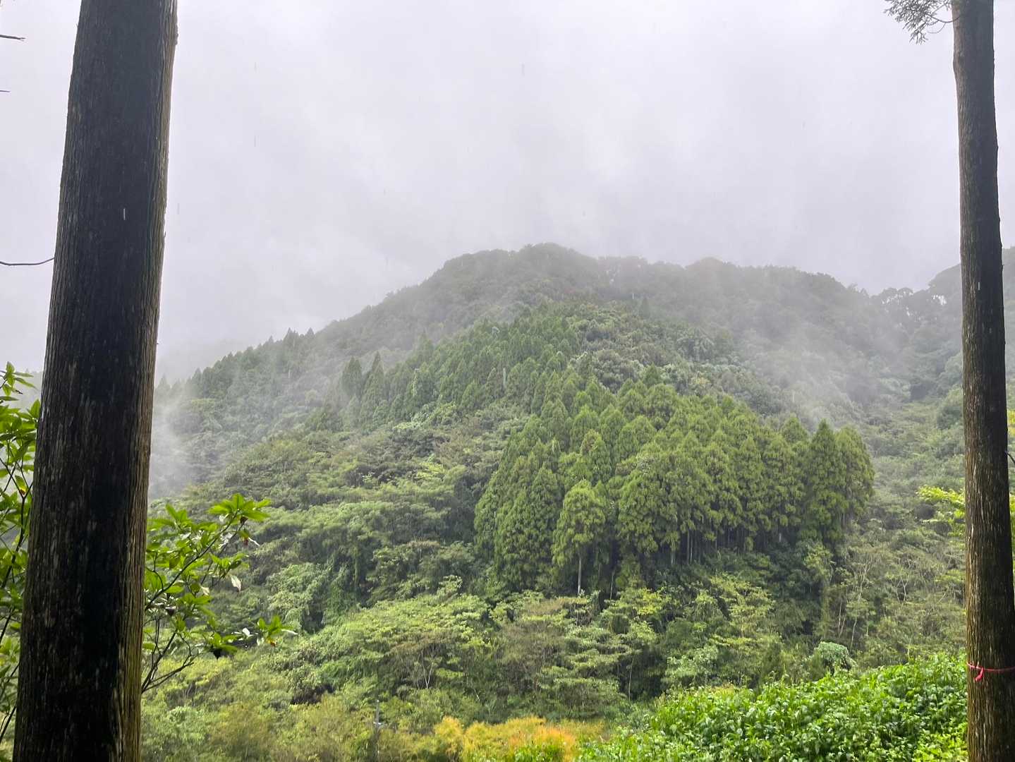お天気はこんな感じ🙌
傘刺して☂️金御岳登ります🤗
またまたあつしさんにお付き合いいただき、ょちおさんが合流して3人で登りました⛰
