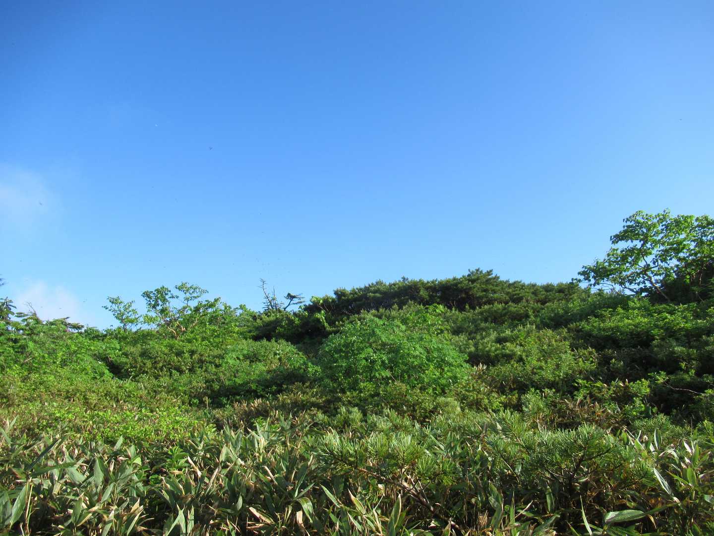 さ～っとガスが晴れて一瞬快晴☀️