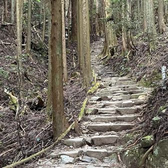 そろそろバテてきました