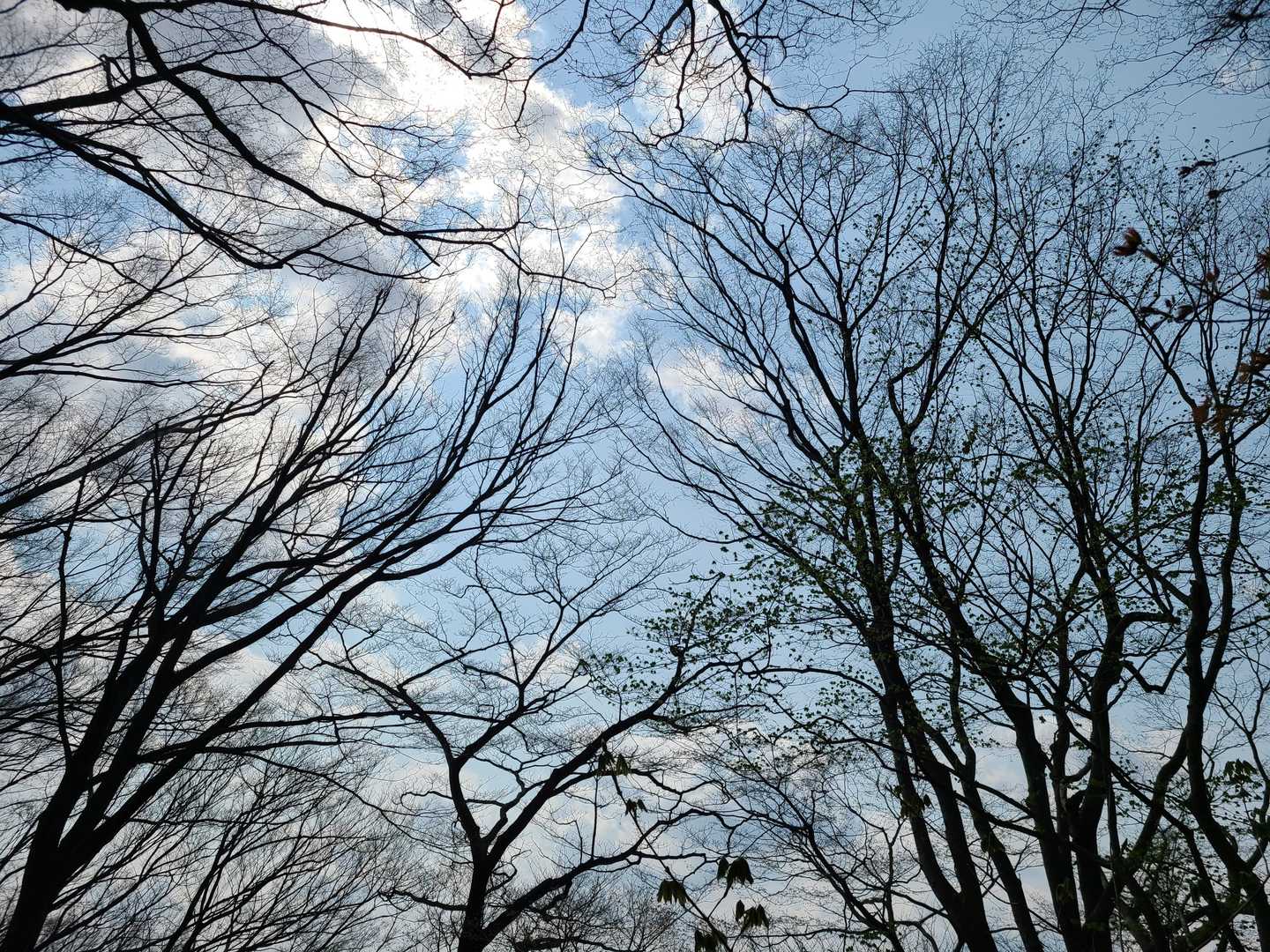 青空は良いなぁ😊
