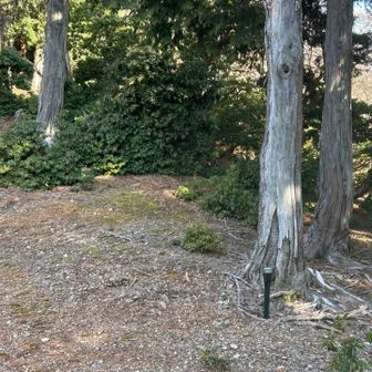 威徳山への分岐は木の下の杭