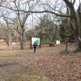 大平山方向へ出発！