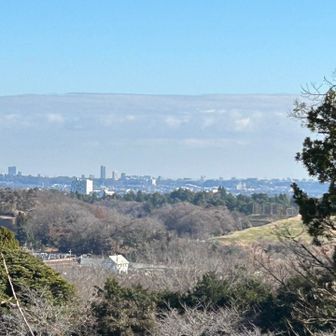 境内からの厚木市内